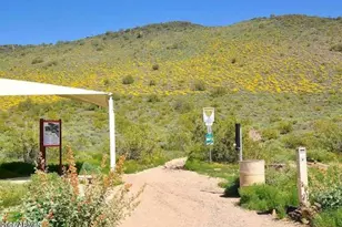 5344 W Molly Ln, Phoenix, AZ 85083 - Photo 42