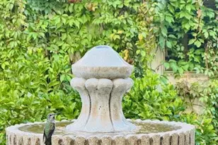 8515 S 41st Glen, Laveen, AZ 85339 - Photo 76