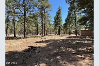207 Blue Ridge Road, Mormon Lake, AZ 86038 - Photo 42