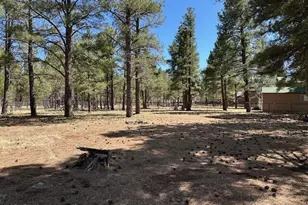 207 Blue Rdg Rd, Mormon Lake, AZ 86038 - Photo 42