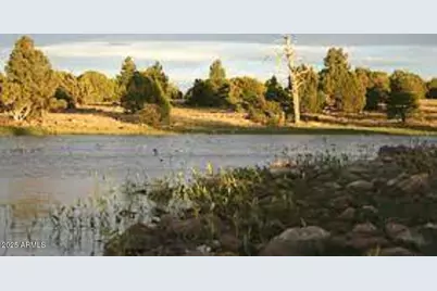 207 Blue Ridge Road, Mormon Lake, AZ 86038 - Photo 60