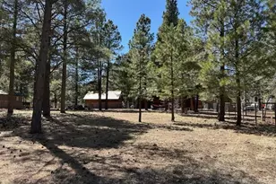 207 Blue Rdg Rd, Mormon Lake, AZ 86038 - Photo 44