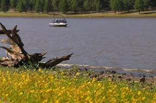 207 Blue Rdg Rd, Mormon Lake, AZ 86038 - Photo 64