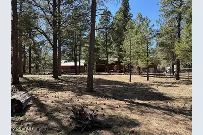 207 Blue Ridge Road, Mormon Lake, AZ 86038 - Photo 46