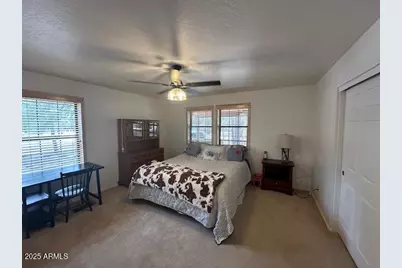 207 Blue Ridge Road, Mormon Lake, AZ 86038 - Photo 24