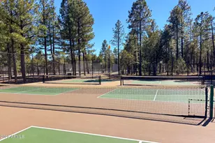 1900 S Monkshood Rd, Show Low, AZ 85901 - Photo 48