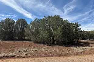 8389 Bear Meadow Dr, Show Low, AZ 85901 - Photo 1