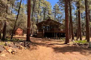 5729 W Pine Circle, Pine, AZ 85544 - Photo 26