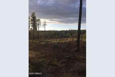 243 N Wild Oak Drive #-, Payson, AZ 85541 - Photo 28