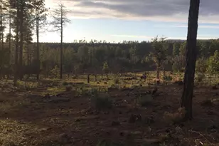 243 N Wild Oak Dr, Payson, AZ 85541 - Photo 28