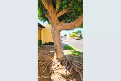 2203 W Claremont Street, Phoenix, AZ 85015 - Photo 14