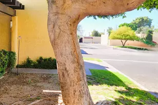 2203 W Claremont St, Phoenix, AZ 85015 - Photo 14