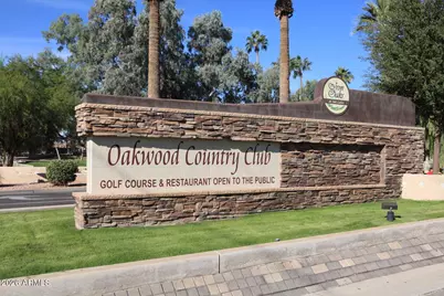 10019 E Nacoma Court, Sun Lakes, AZ 85248 - Photo 66