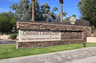 10019 E Nacoma Ct, Sun Lakes, AZ 85248 - Photo 66