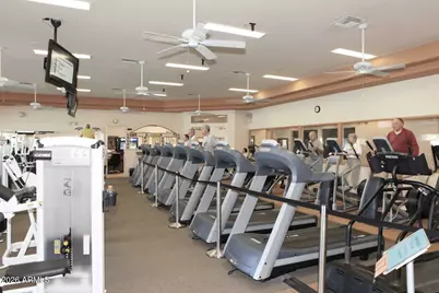 10019 E Nacoma Court, Sun Lakes, AZ 85248 - Photo 58