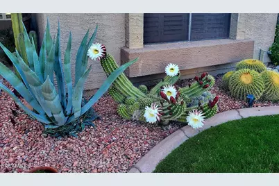 19122 N 98th Lane, Peoria, AZ 85382 - Photo 48