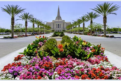 2595 E Blue Sage Road #101A, Gilbert, AZ 85297 - Photo 22