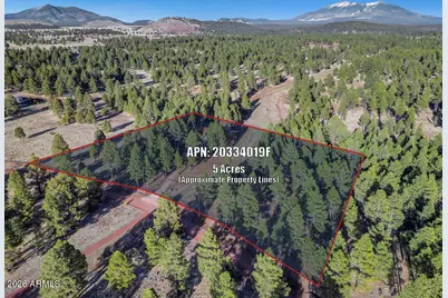 4960 Forrest Ranches Loop, Parks, AZ 86018 - Photo 46