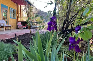 253B Brewery Ave, Bisbee, AZ 85603 - Photo 36