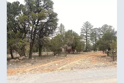 3130 Aspen Road, Overgaard, AZ 85933 - Photo 30