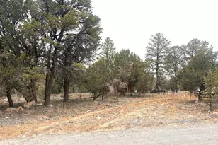 3130 Aspen Rd, Overgaard, AZ 85933 - Photo 30