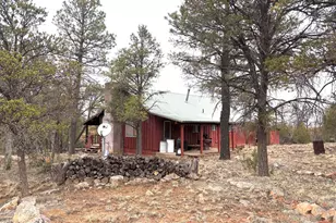 3130 Aspen Rd, Overgaard, AZ 85933 - Photo 1