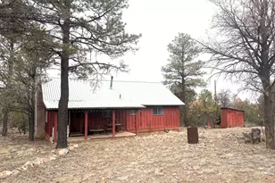 3130 Aspen Rd, Overgaard, AZ 85933 - Photo 4