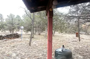 3130 Aspen Rd, Overgaard, AZ 85933 - Photo 24