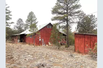 3130 Aspen Road, Overgaard, AZ 85933 - Photo 6