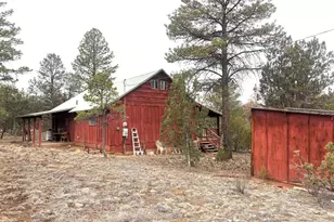 3130 Aspen Rd, Overgaard, AZ 85933 - Photo 6