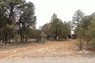 3130 Aspen Rd, Overgaard, AZ 85933 - Photo 2