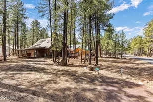 3236 Turkey Track Rd, Pinetop, AZ 85935 - Photo 32
