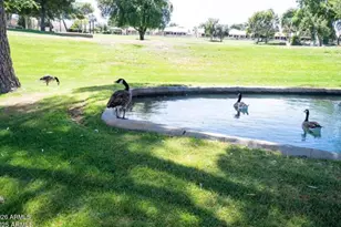14300 W Bell Rd, Surprise, AZ 85374 - Photo 44