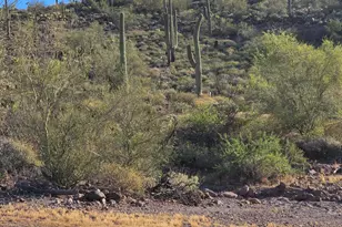 0 Elephant Butte --, Queen Valley, AZ 85118 - Photo 1