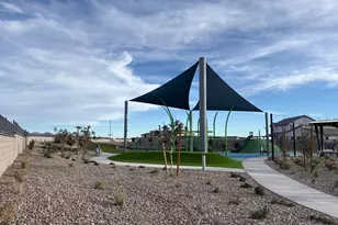 30002 W Wild Hazel Dr, Buckeye, AZ 85396 - Photo 8