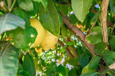 5311 N 8th Avenue, Phoenix, AZ 85013 - Photo 22