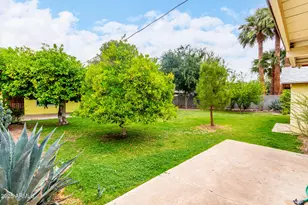 1609 E Williams St, Tempe, AZ 85281 - Photo 8