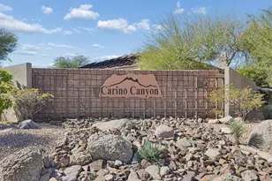 13298 E Del Timbre Dr, Scottsdale, AZ 85259 - Photo 46