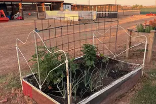 11983 E Tennyson Rd, Florence, AZ 85132 - Photo 36