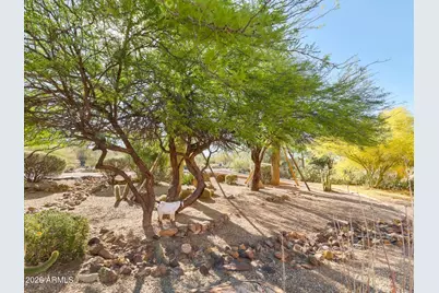 35414 N Palo Verde Way, Cave Creek, AZ 85331 - Photo 6