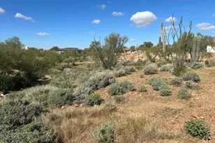 428 E Hemingway Ln, Phoenix, AZ 85086 - Photo 1