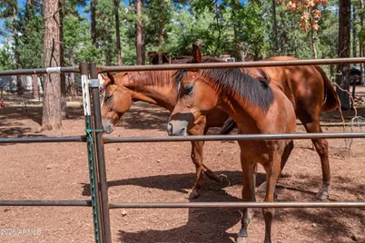 1659 Mormon Road, Happy Jack, AZ 86024 - Photo 36