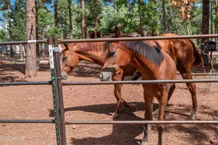 1659 Mormon Rd, Happy Jack, AZ 86024 - Photo 36