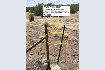 11Cxx W Route 66 -- #11, Ash Fork, AZ 86320 - Photo 2