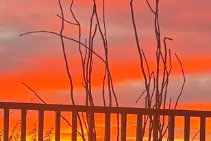 12741 E Casitas Del Rio Dr, Scottsdale, AZ 85255 - Photo 58