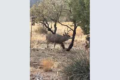 4835 E Mallard Drive, Rimrock, AZ 86335 - Photo 46