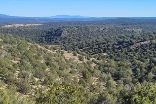 929 Forest Service Rd 721 A --, Williams, AZ 86046 - Photo 1