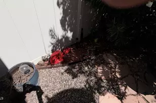 11411 N 91st Ave, Peoria, AZ 85345 - Photo 32