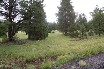 Lot 5 Red Cabin Ranch Unit II -- #5, Vernon, AZ 85940 - Photo 12