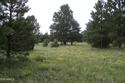 Lot 5 Red Cabin Ranch Unit II -- #5, Vernon, AZ 85940 - Photo 8